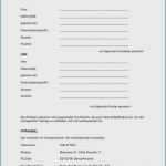 Autoverkauf Vertrag Vorlage Beste 13 Kaufvertrag Hund Muster