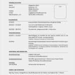 Azubiyo Vorlage Lebenslauf Großartig Beispiele Lebenslauf Positive Und Negative Beispiele