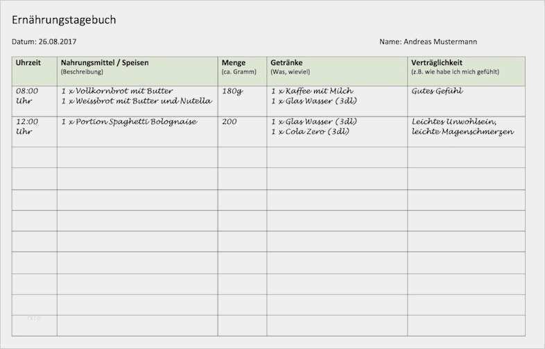 Baby Tagebuch Vorlage Zum Ausdrucken Wunderbar Ernährungstagebuch Vorlage Kostenlos Word