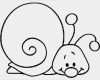 Babybauch Bemalen Vorlagen Zum Ausdrucken Großartig Vorlagen Zum Ausmalen Malvorlagen Schnecke Ausmalbilder 1