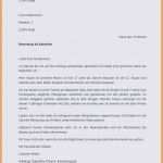 Babysitter Flyer Vorlage Deutsch Erstaunlich 10 Bewerbung Reinigungskraft