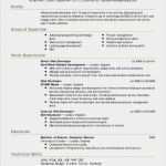 Babysitter Flyer Vorlage Neu 10 11 Babysitter Flyers Templates