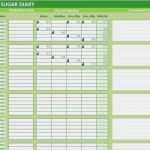 Babytagebuch Vorlage Best Of Blutzucker Tagebuch Excel Vorlage Glukose Ebenen Tracker