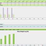 Babytagebuch Vorlage Erstaunlich Baby Tagebuch Excel Vorlage Säugling Aktivitäten Tracker