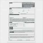 Backup Dokumentation Vorlage Süß Reinigungsplan Kuche Gastronomie