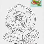 Bad Vorlagen Großartig 55 Neu Aufnahmen Der Vorlagen Window Color