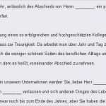 Bafög Widerspruch Vorlage Elegant Lustige Abschiedsmail An Kollegen Muster