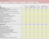 Balanced Scorecard Excel Vorlage Schönste Rs Bsc Balanced Scorecard Leicht Gemacht Excel