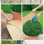 Banderole Taschentücher Vorlage Fabelhaft Die 25 Besten Ideen Zu Blumen Vorlage Auf Pinterest