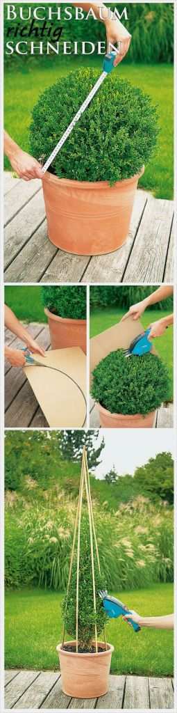 Banderole Taschentücher Vorlage Fabelhaft Die 25 Besten Ideen Zu Blumen Vorlage Auf Pinterest