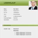 Bankkaufmann Bewerbung Vorlage Bewundernswert 11 Lebenslauf Bankkaufmann