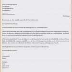 Bankkaufmann Bewerbung Vorlage Neu 10 Bankkaufmann Bewerbung