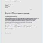 Base Kündigung Vorlage Pdf Genial Kndigungs assistent Logo 11 E Plus Handyvertrag Kndigen