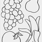 Base Kündigung Vorlage Pdf Wunderbar Obst Zum Ausmalen Obst Gemüse Pinterest