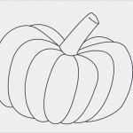 Basteln Herbst Vorlagen Kostenlos Schön Herbst Basteln Mit Kindern Ideen Anleitungen Und Vorlagen