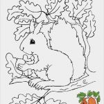 Basteln Herbst Vorlagen Kostenlos Schön Herbst Vorlagen Herbst Pinterest