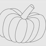 Basteln Mit Kindern Im Herbst Vorlagen Fabelhaft Kürbis Vorlagen Zum Ausschneiden Süß Herbst Basteln Mit
