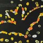 Basteln Mit Kindern Im Herbst Vorlagen Luxus Basteln Herbst Basteln Mit Kindern