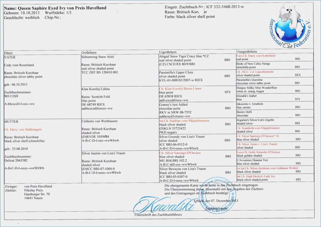 Bau Tagesbericht Vorlage Angenehm 13 Bau Tagesbericht Vorlage