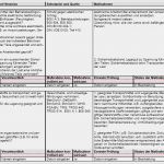 Baua Gefährdungsbeurteilung Vorlage Best Of Gefährdungsbeurteilung Lagern Fördern Transportieren