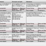 Baua Gefährdungsbeurteilung Vorlage Beste Gefährdungsbeurteilung Elektroinstallation