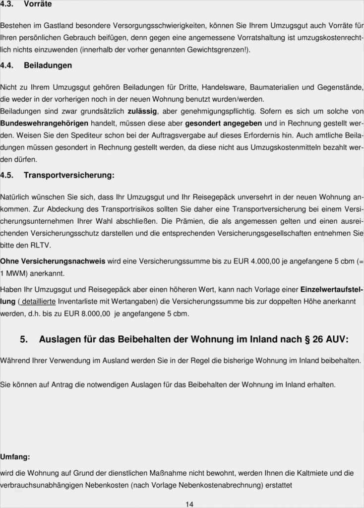 Baubeschreibung Vorlage Doc Einzigartig Informationen Für Auslandsumzüge Pdf