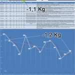 Bauherren Tagebuch Vorlage Beste Großartig Essen Tagebuch Excel Vorlage Fotos