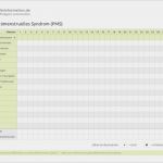 Bauherren Tagebuch Vorlage Gut Tagebuch Prämenstruelles Syndrom Pms Prämenstruelles