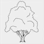 Baum An Wand Malen Vorlagen Erstaunlich 100 Malen Bilder Vorlagen Bilder Ideen