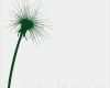 Baum Fingerabdruck Hochzeit Vorlage Bewundernswert Fingerabdruck Baum Vorlage & andere Motive Kostenlos Zum