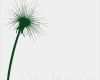Baum Fingerabdruck Hochzeit Vorlage Wunderbar Fingerabdruck Baum Vorlage & andere Motive Kostenlos Zum