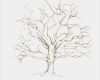 Baum Vorlage Fingerabdruck Angenehm Fingerabdruck Baum Vorlage & andere Motive Kostenlos Zum