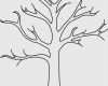 Baum Vorlage Zum Ausdrucken Best Of Baum Vorlage Zum Ausdrucken Genial Ausmalbilder Baum