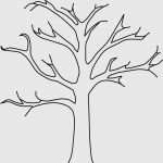 Baum Vorlage Zum Ausdrucken Best Of Baum Vorlage Zum Ausdrucken Genial Ausmalbilder Baum