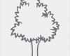 Baum Vorlage Zum Ausdrucken Cool Ausmalbilder Zum Ausdrucken Gratis Malvorlagen Baum 2