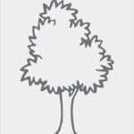 Baum Vorlage Zum Ausdrucken Cool Ausmalbilder Zum Ausdrucken Gratis Malvorlagen Baum 2