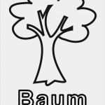 Baum Vorlage Zum Ausdrucken Erstaunlich Ausmalbild Bäume Baum Zum Ausmalen Kostenlos Ausdrucken