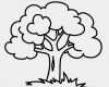 Baum Vorlage Zum Ausdrucken Erstaunlich Ausmalbilder Von Baum Ausdrucken Malvorlagen Kostenlos