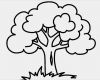 Baum Vorlage Zum Ausdrucken Gut Ausmalbilder Zum Ausmalen Malvorlagen Baum Kostenlos 1