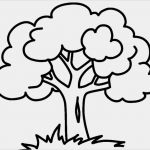Baum Vorlage Zum Ausdrucken Gut Ausmalbilder Zum Ausmalen Malvorlagen Baum Kostenlos 1