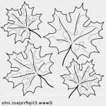 Baum Vorlage Zum Ausdrucken Hübsch Ausmalbild Herbst Waldtiere Im Herbst Ausmalen Kostenlos