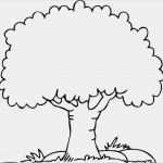 Baum Vorlage Zum Ausdrucken Wunderbar Malvorlagen Baum Bimbaboomboom