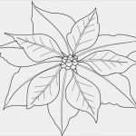 Baumstamm Bemalen Vorlagen Wunderbar Zentangle Vorlagen Für Weihnachtskarten Und Geschenke