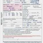 Baustellen Abnahmeprotokoll Vorlage Neu Dicht Nicht Immer Pflicht Sbz