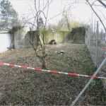 Bautagebuch Architekt Vorlage Erstaunlich Bautagebuch Fördergemeinschaft Mundenhof