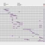 Bauzeitenplan Vorlage 2018 Erstaunlich Bauzeitplan Ackerhummel