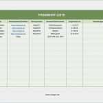 Bauzeitenplan Vorlage Pdf Hübsch Bauzeitenplan Vorlage Download Kostenlos Gut Großartig