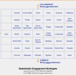 Bedarfsanalyse Vorlage Excel Inspiration Gemütlich Stakeholder Engagement Vorlage Ideen Beispiel