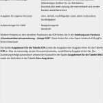 Bedienungsanleitung Vorlage Luxus Bedienungsanleitung Excel Vorlage Einnahmen Überschuss