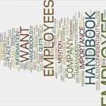 Bedienungsanleitung Vorlage Schönste Fein Mitarbeiter Handbuch Vorlage Frei Ideen Beispiel